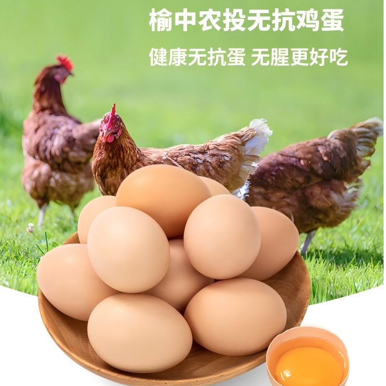 【无抗·鲜鸡蛋】榆中农投大型农场笼养原谷物鸡蛋土鸡蛋口感醇香
