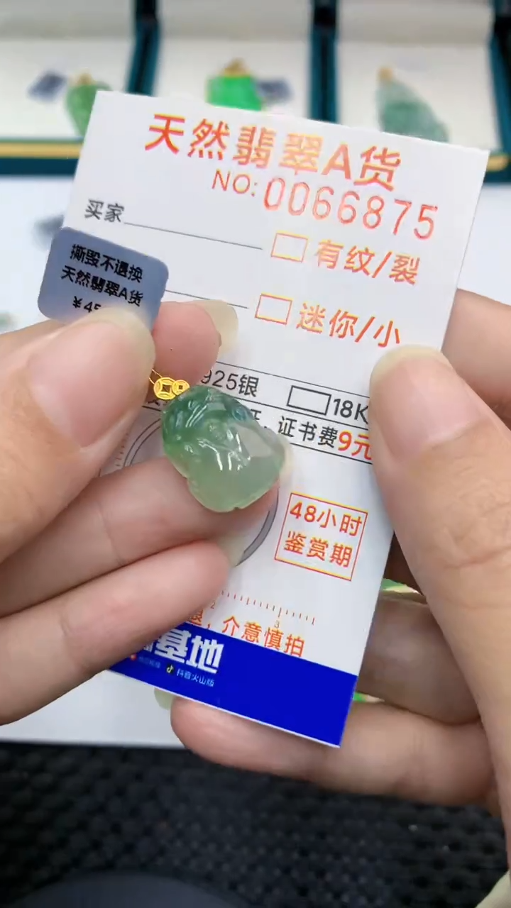【闪购商品】翡翠颈饰18K金镶嵌            8