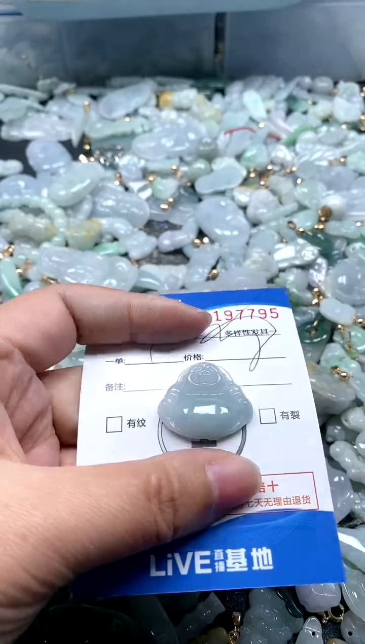 【闪购商品】翡翠颈饰未镶嵌闪购商品0197795