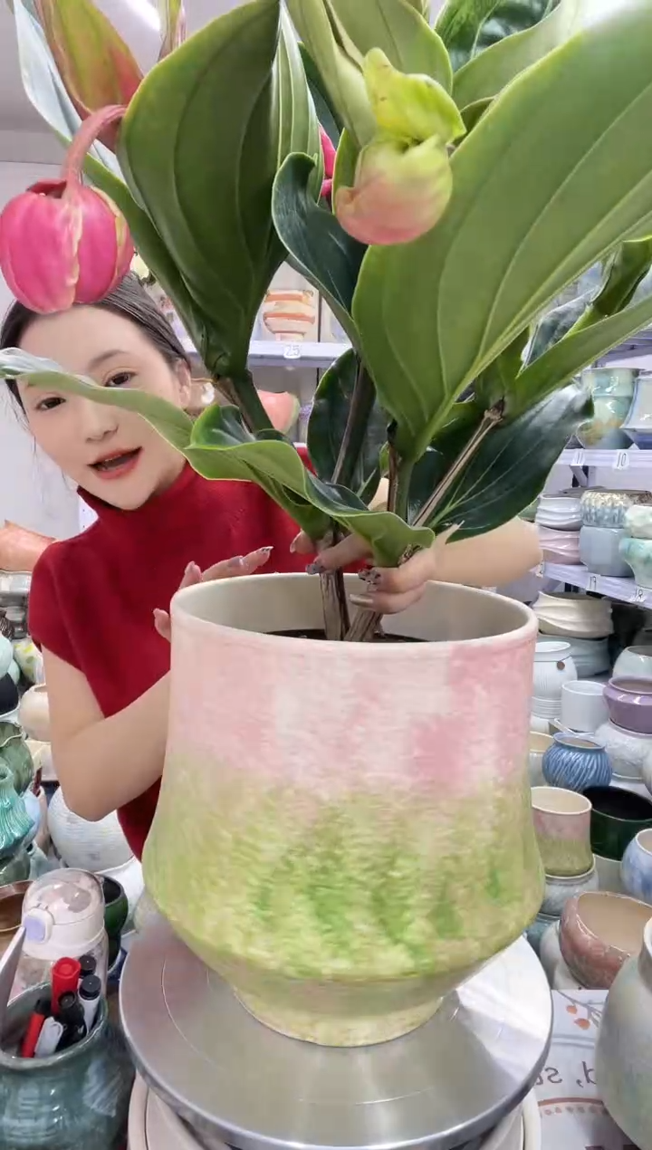 直播链接  高：   26.5口：22