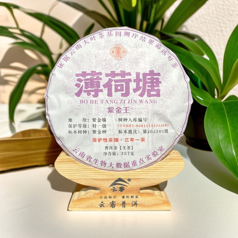 【茶姐严选】薄荷塘 紫金王 普洱生茶 357g