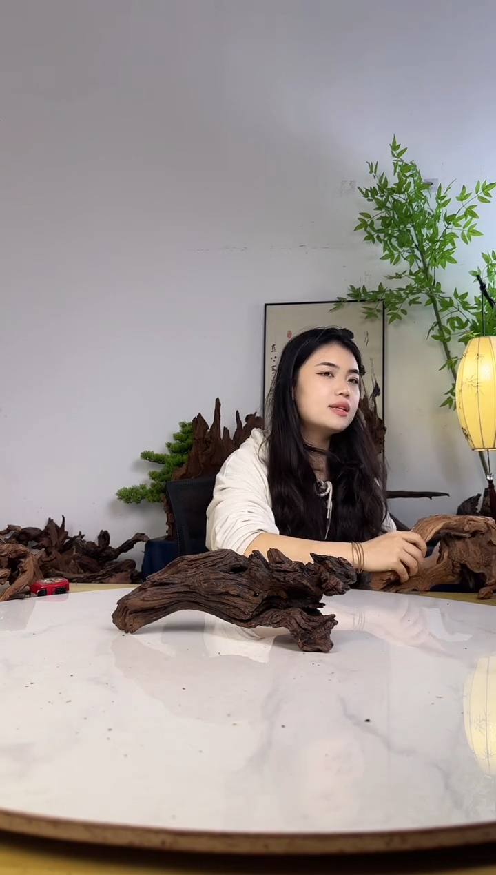 张*木拍沉木定向链接编号56