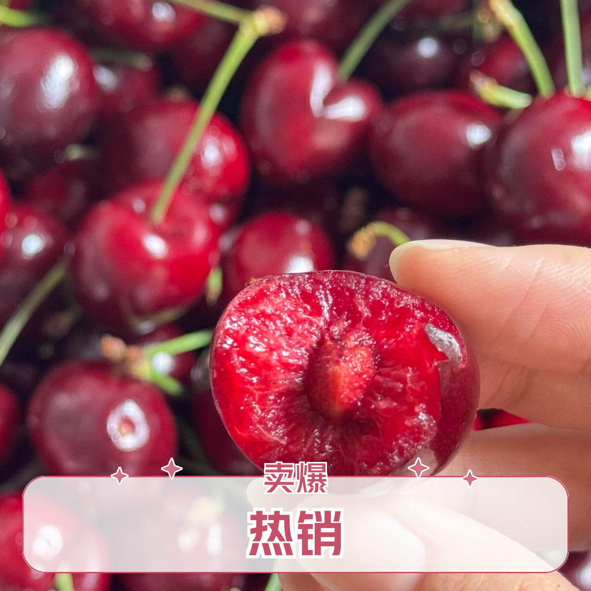 智力桑缇娜车厘子【2.5斤礼盒装】【JJD】海运桑提娜智利