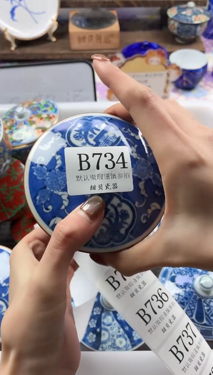 瓷片                B734