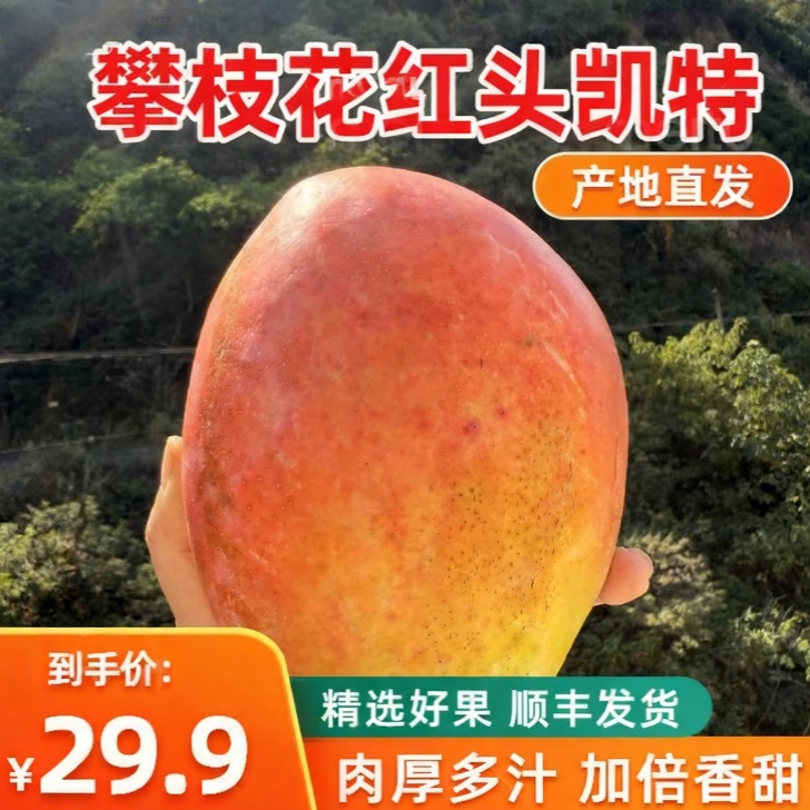 【顺丰发货】正宗四川攀枝花红头凯特芒果应季水果攀枝花凯特大芒果