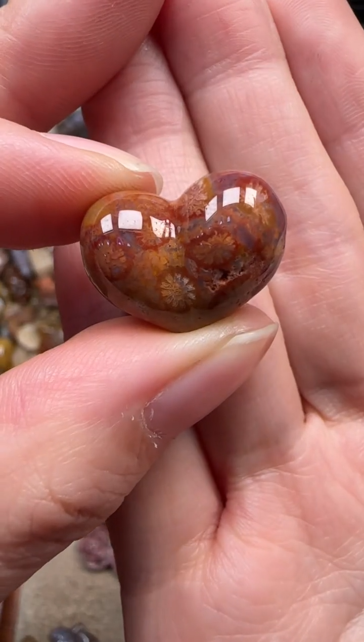 颈饰未镶嵌硅化珊瑚（珊瑚玉）407