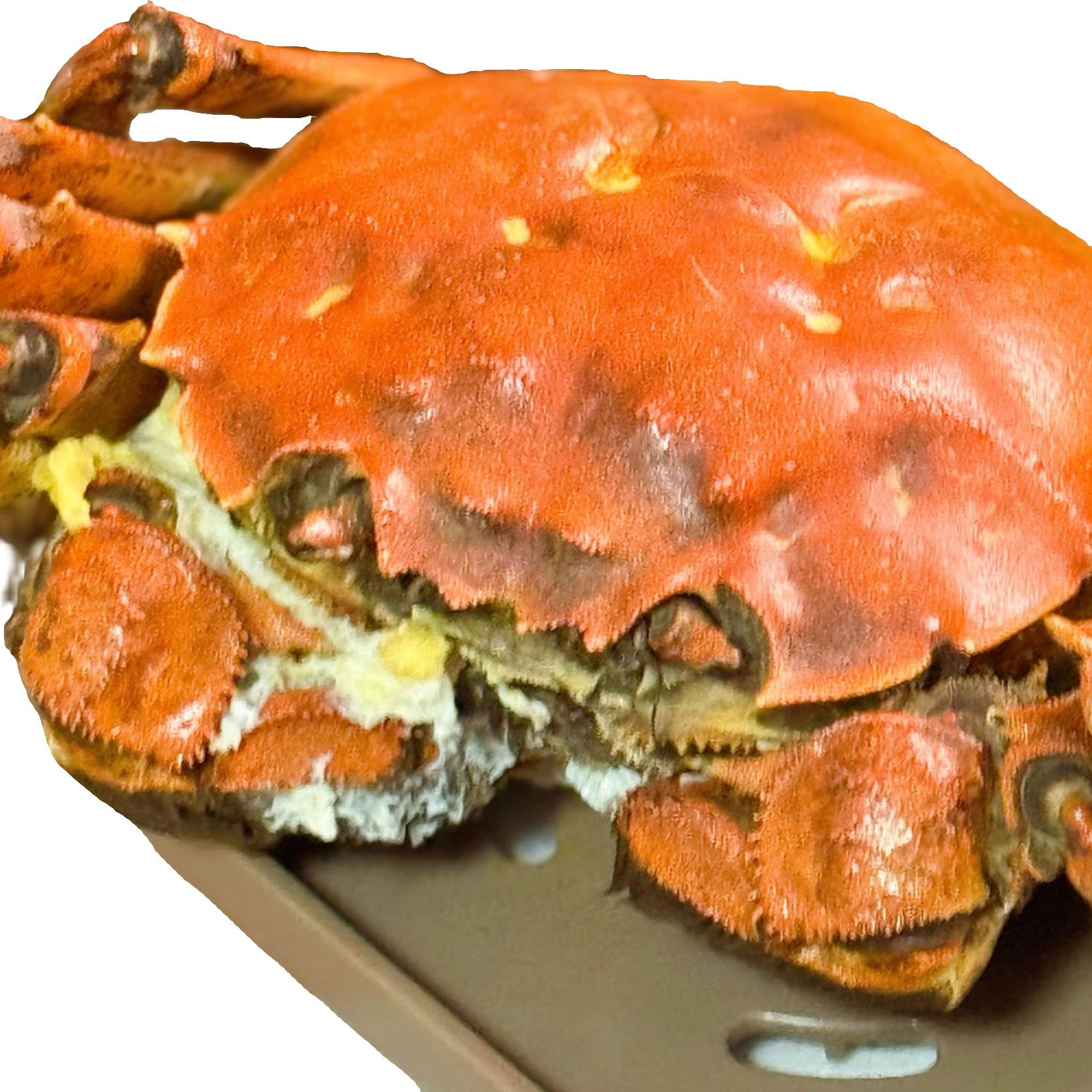 【活蟹】（6送2只)六月黄公螃蟹2.2-2.7/两 家庭装顺丰包邮礼盒包装