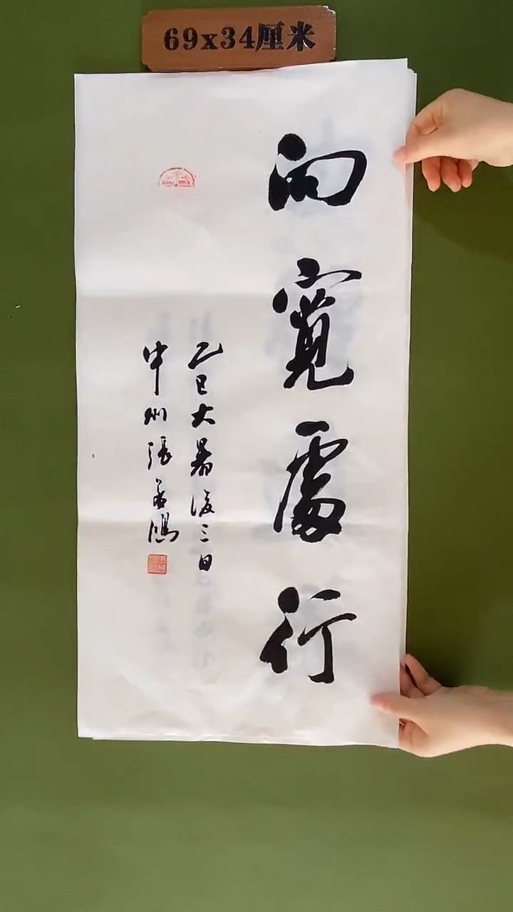 书法书法 张若鸿 尺寸69cm*34cm