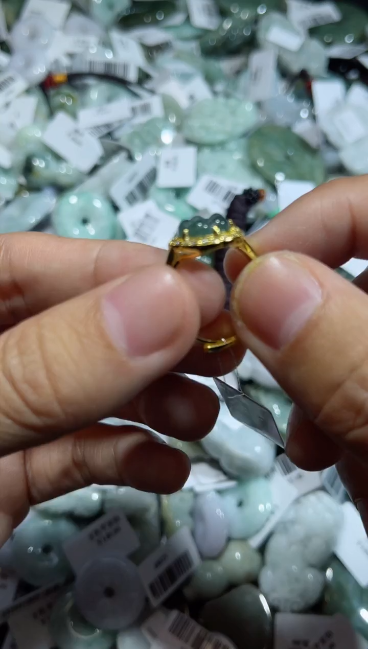 【闪购商品】翡翠颈饰未镶嵌00002708