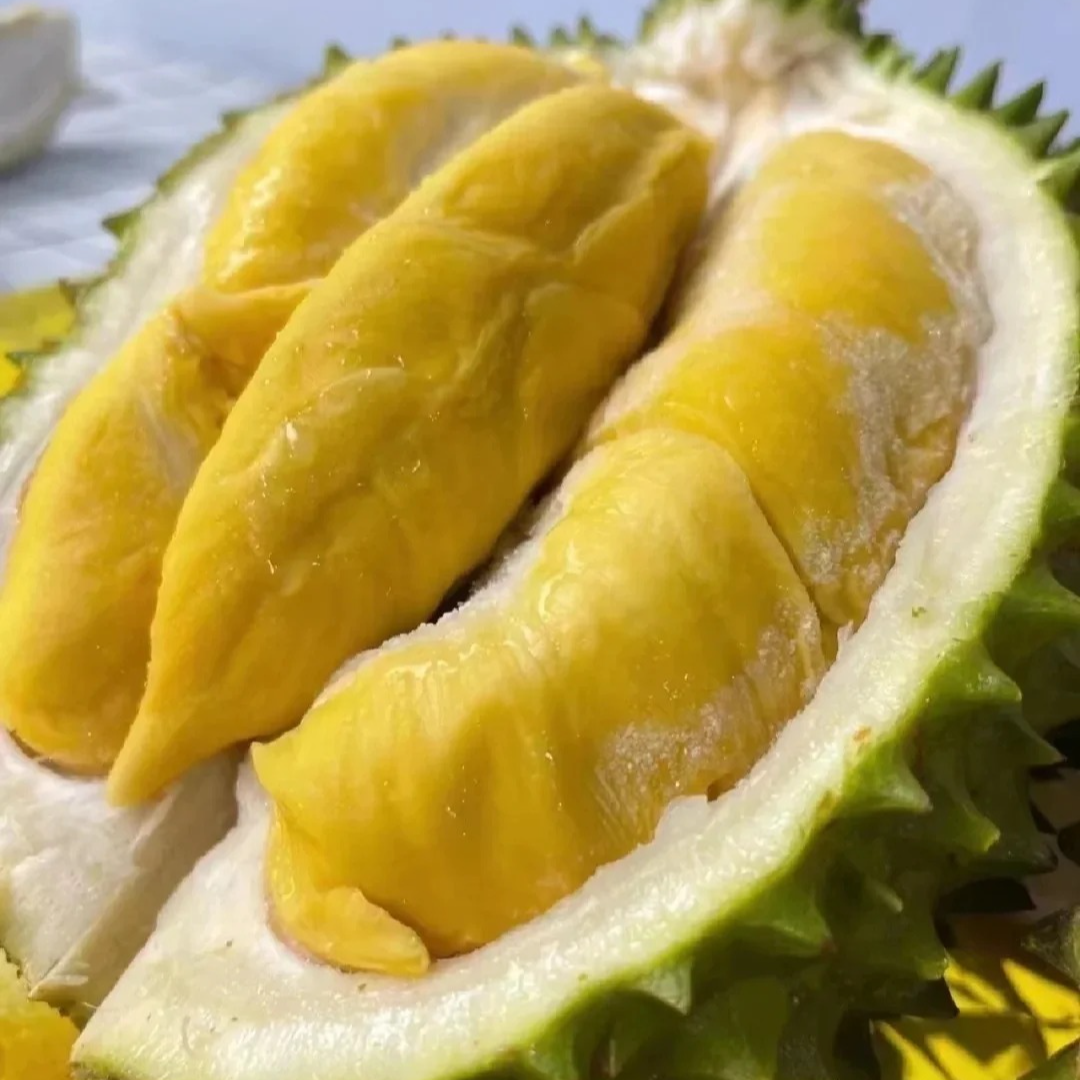 马来西亚猫山王 D197 一个 整果约2.8斤 核大 液氮新鲜猫山王马来西亚