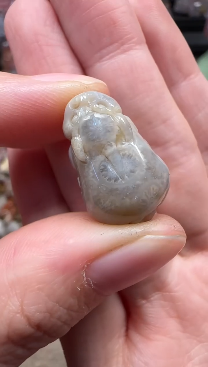 颈饰未镶嵌硅化珊瑚（珊瑚玉）780