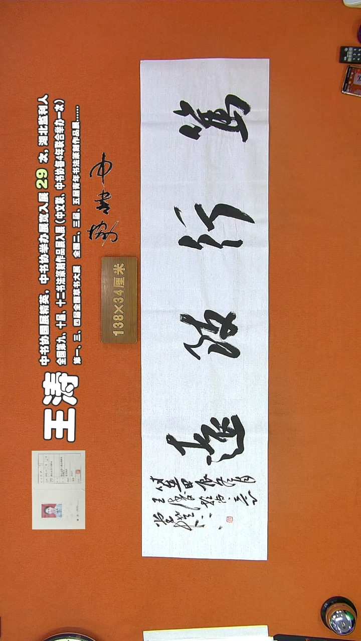 【闪购商品】书法759王涛书法作品