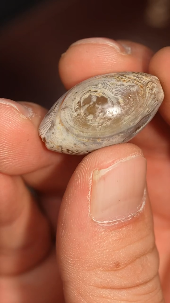 未镶嵌颈饰玛瑙/玉髓冲赛康胡子哥，DIY一166