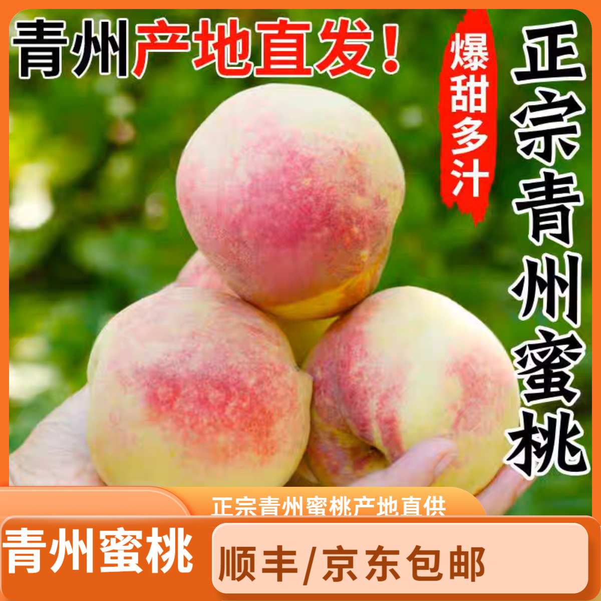 顺丰京东包邮正宗青州蜜桃新鲜现摘应季脆甜儿时味道桃子新鲜水果