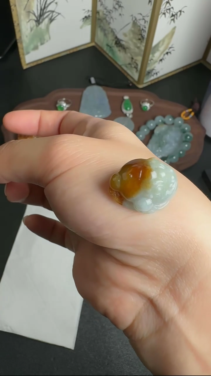 【闪购商品】翡翠颈饰未镶嵌WY0222045