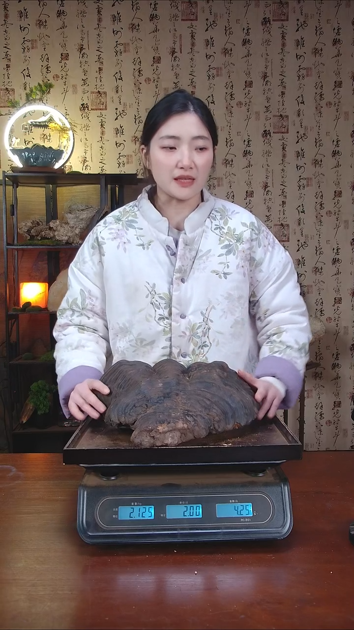 红缘拟层孔菌中国大陆【藏区野生】红缘树舌（4.25斤）50-60年份