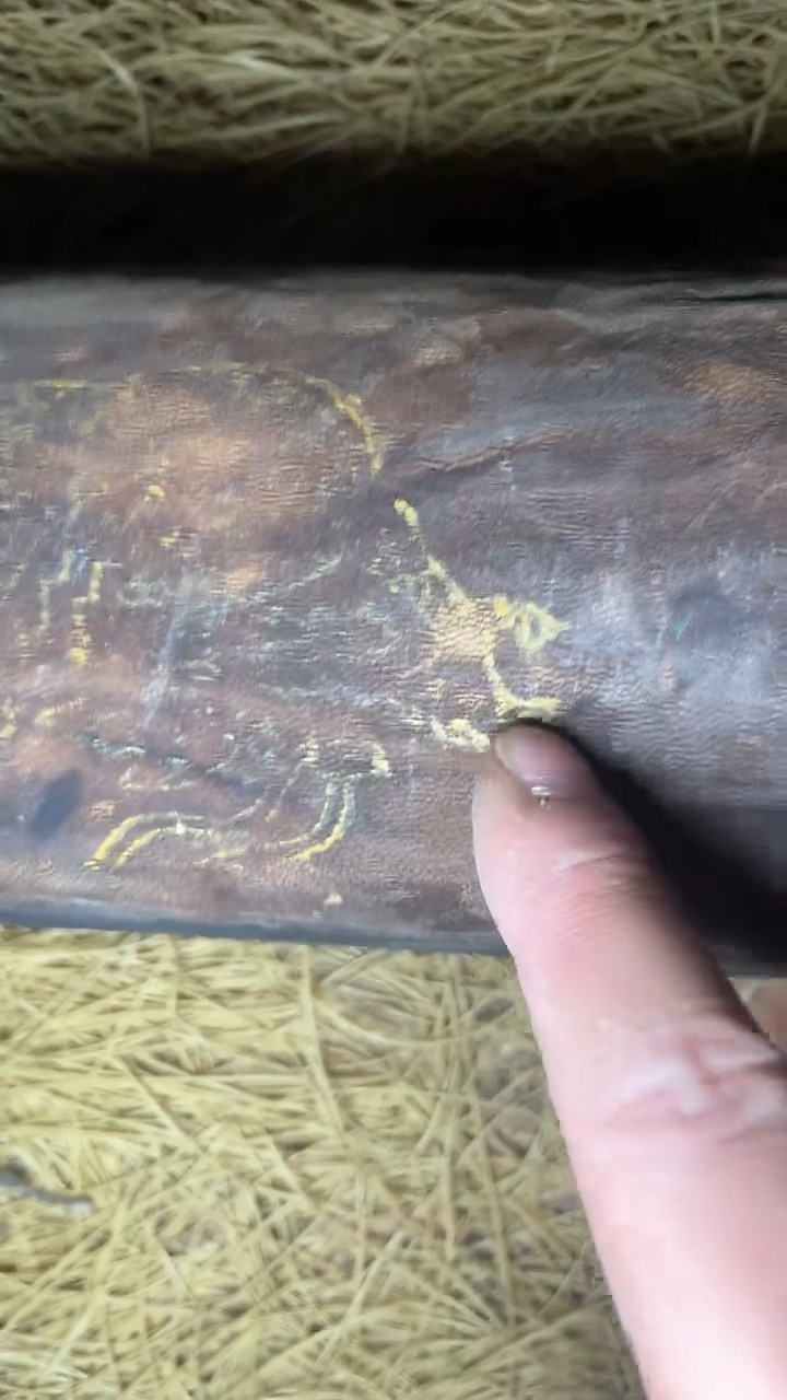 摆件摆件---------（墨序甄选）中牛皮四条屏