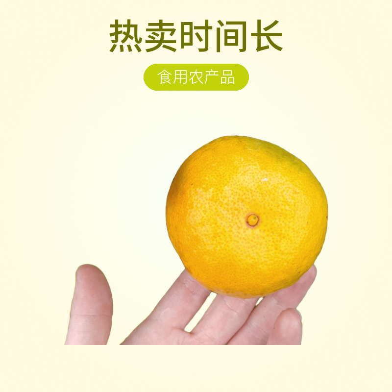 四川核心产区新津蜜橘新鲜采摘香甜多汁水果