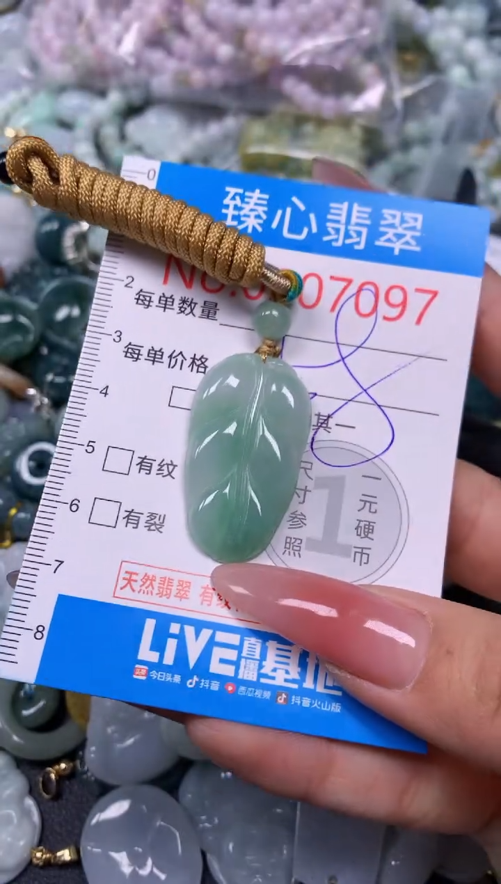 【闪购商品】翡翠颈饰未镶嵌含绳0007097