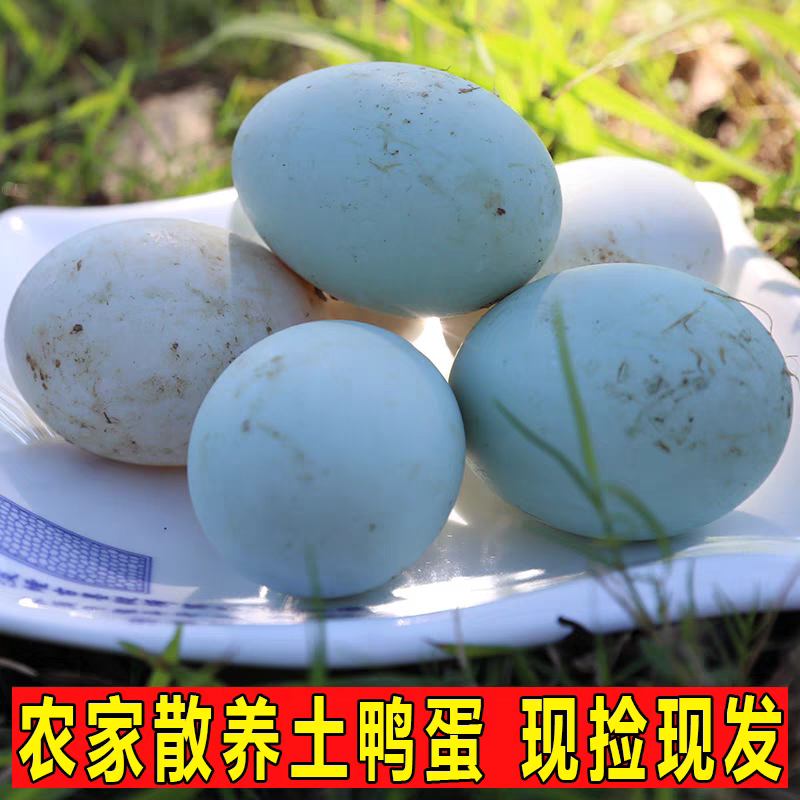 江边鸭蛋东北散养笨鸭蛋现捡现发包邮到家