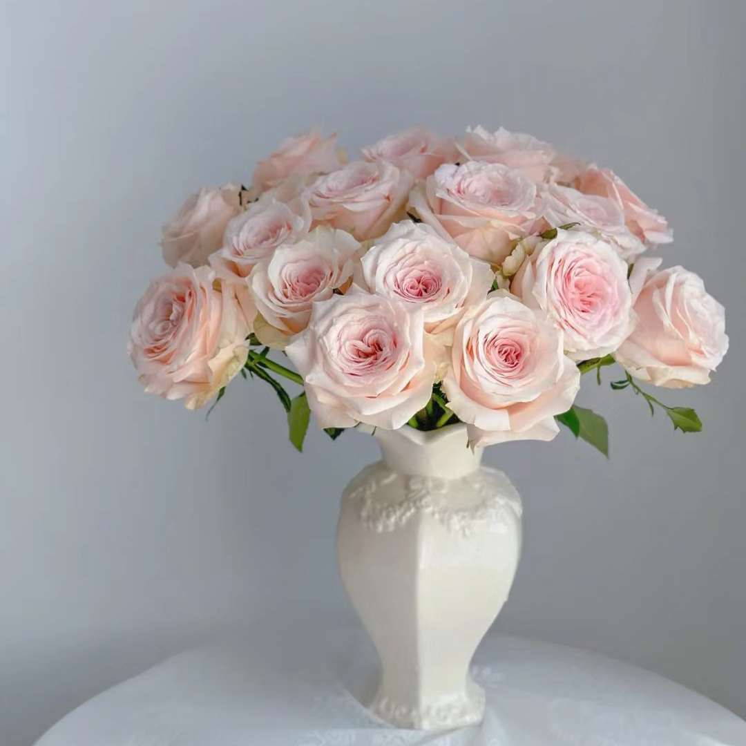  【双鱼座】单头玫瑰（全场同一地址两单顺丰冷链包邮噢~）