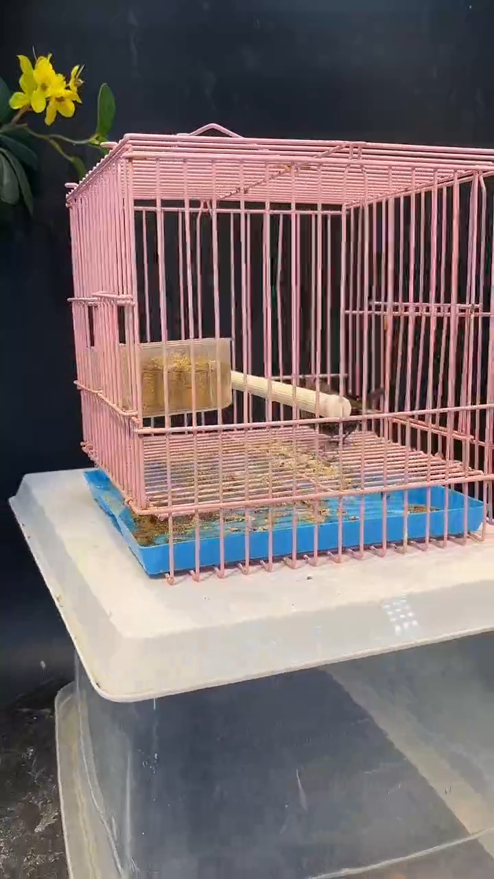 89号  鹪鹩养笼  0元起拍