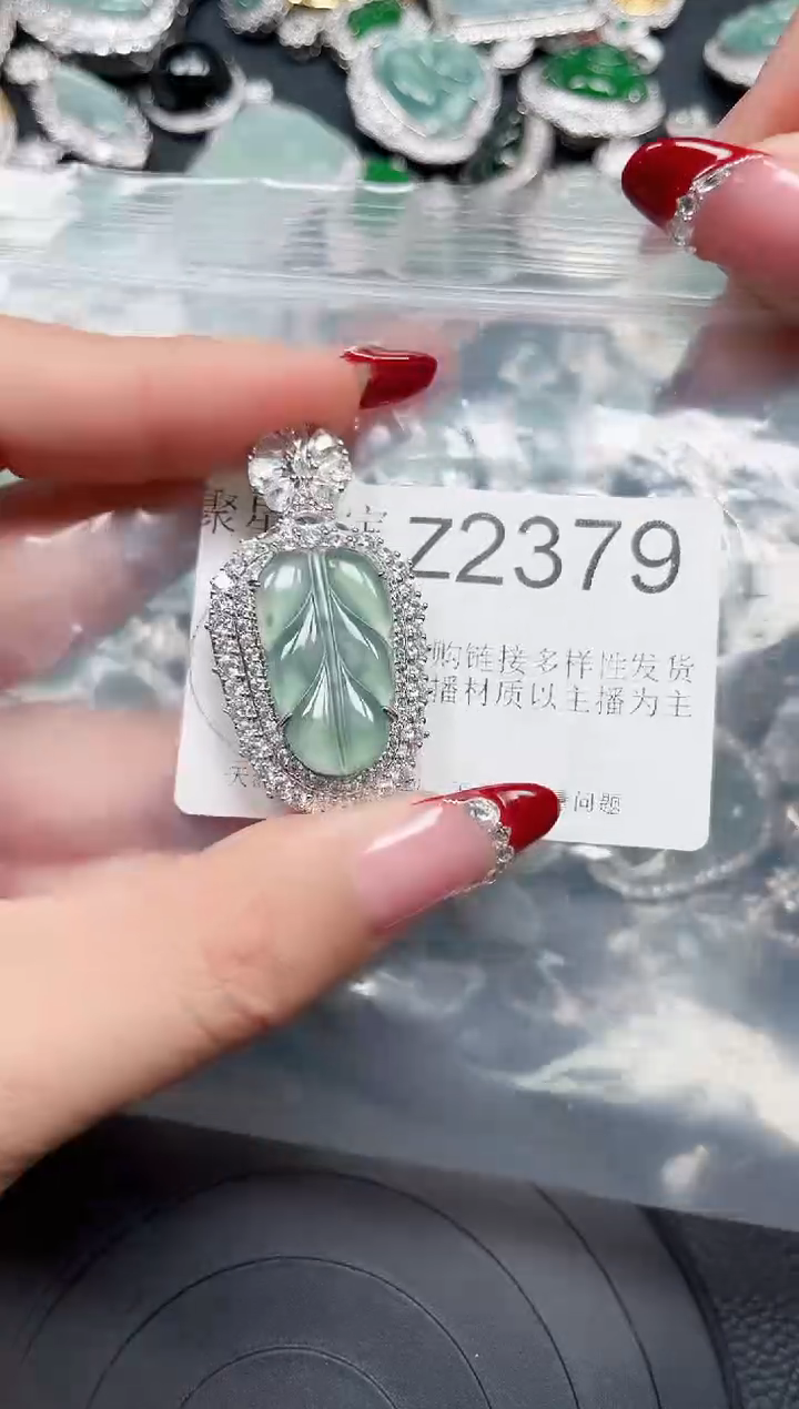【闪购商品】翡翠颈饰未镶嵌赠皮绳2379