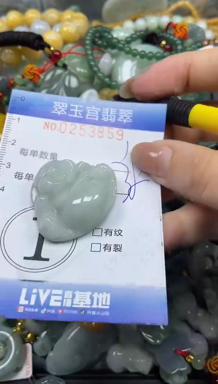 颈饰未镶嵌翡翠闪购C0253859