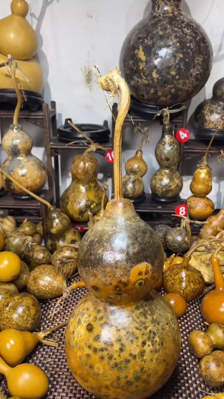 【闪购商品】葫芦葫芦葫芦葫芦葫芦