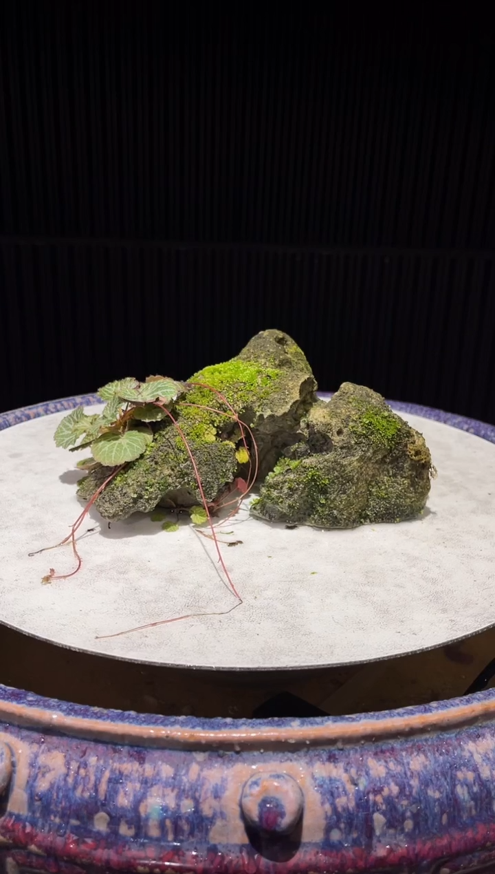 造型吴定石一物一拍专属