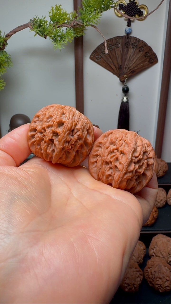 把件文玩核桃正磨货头 磨盘狮子头 边40 球磨