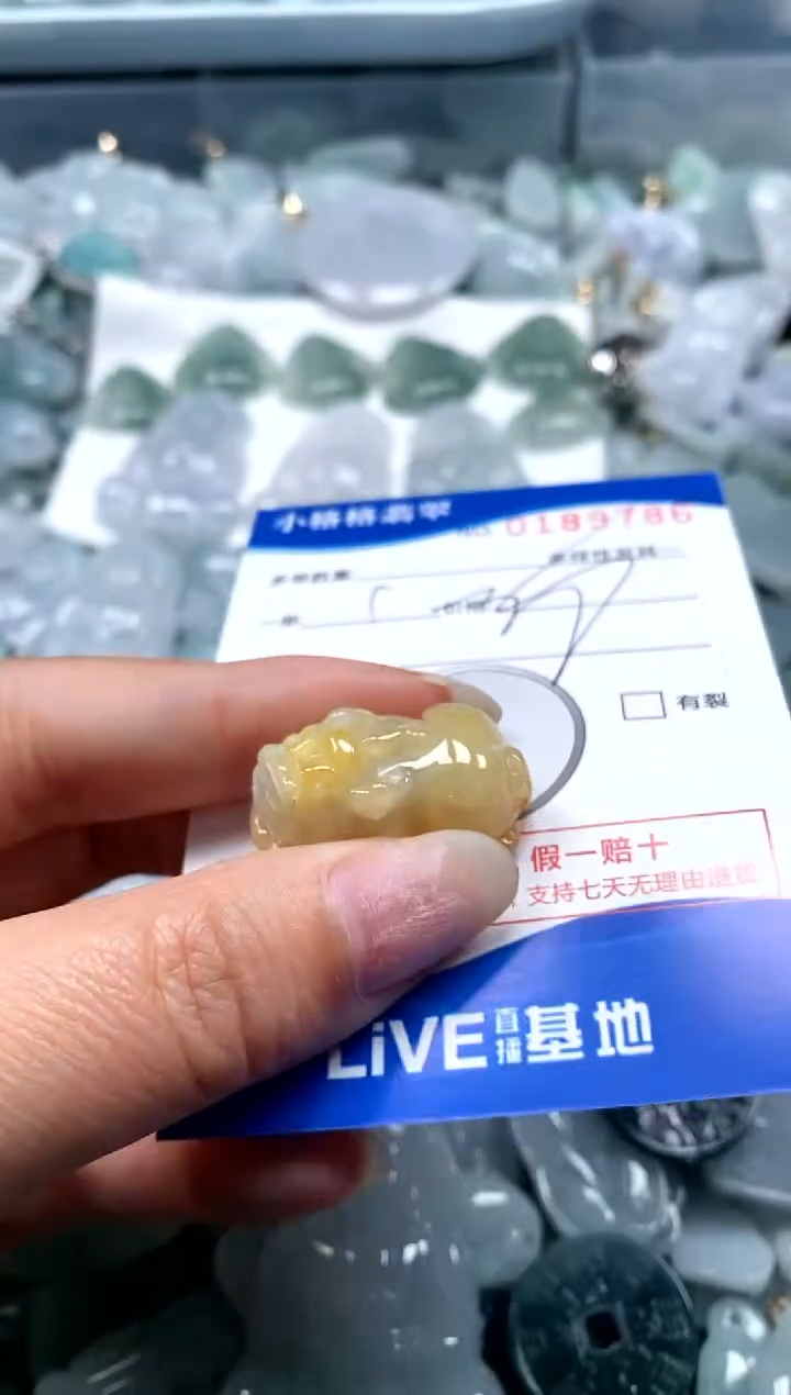【闪购商品】翡翠颈饰未镶嵌闪购商品0189786