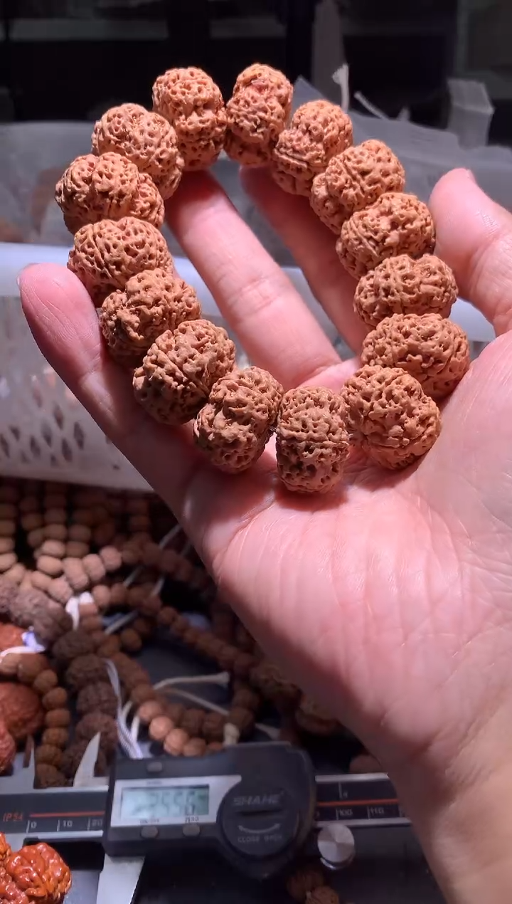 金刚菩提手串636