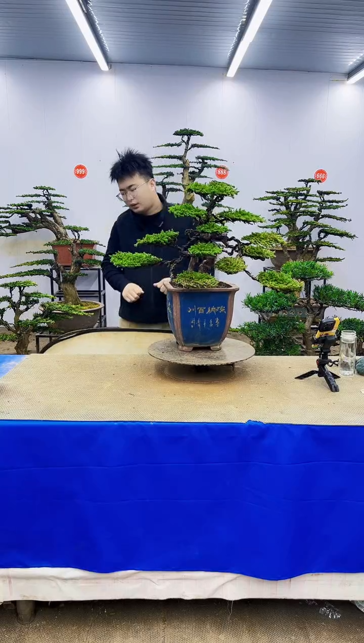 完全开放一物一拍，所见即所得