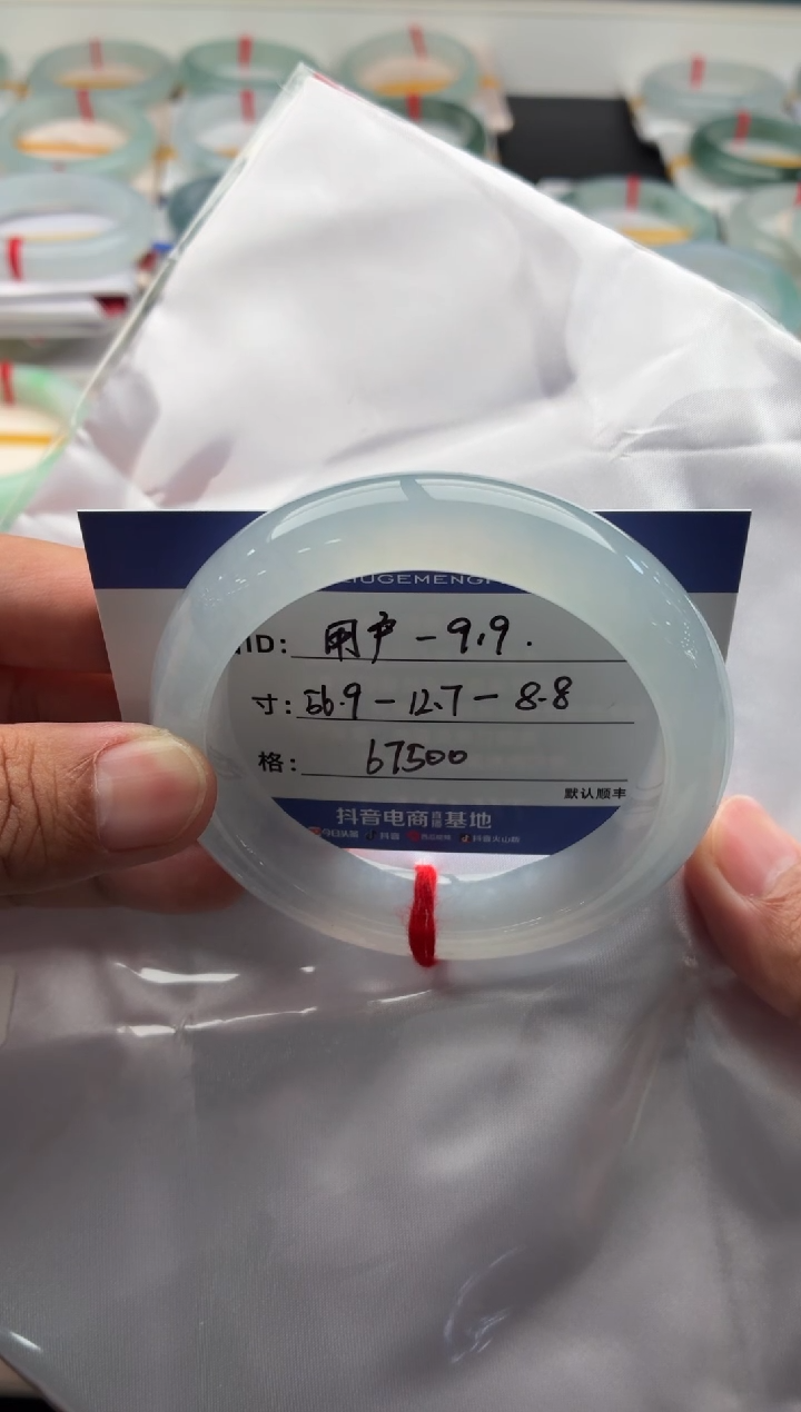 未镶嵌手镯翡翠用****9分单 48小时鉴赏期