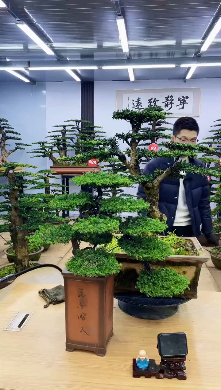 【闪购商品】0000000