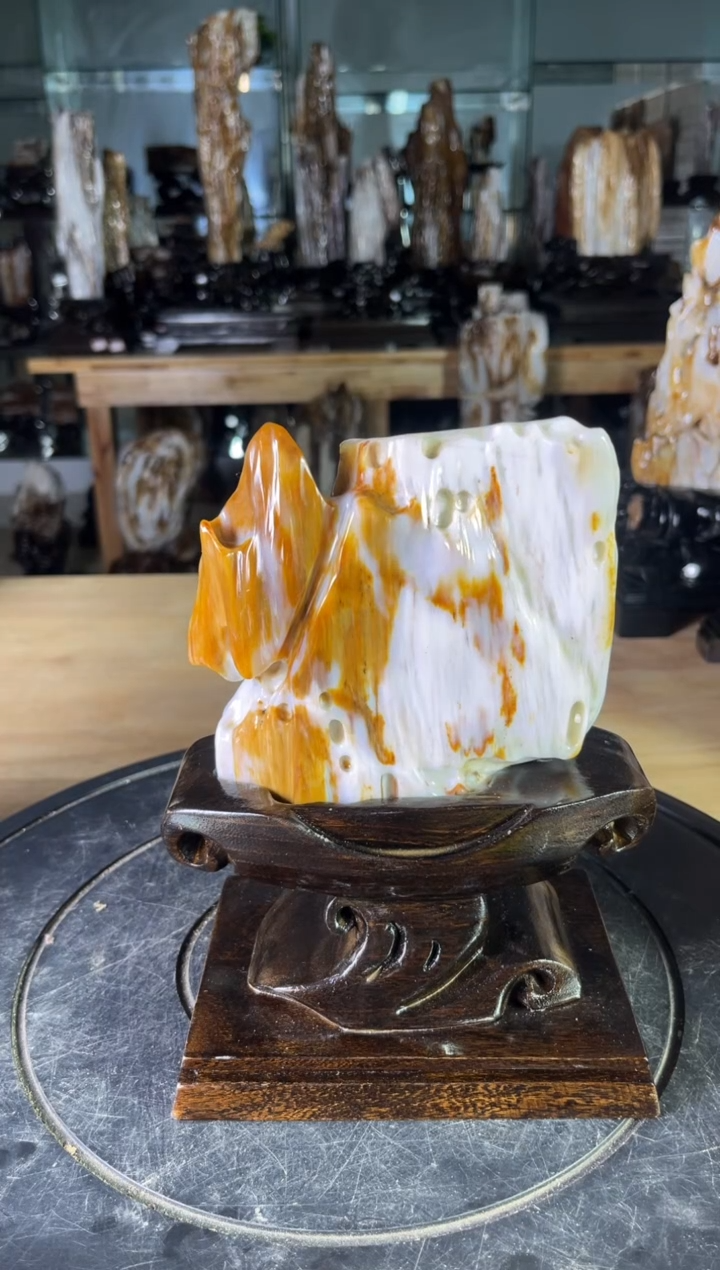 【闪购商品】硅化玉珠宝奇石未镶嵌1