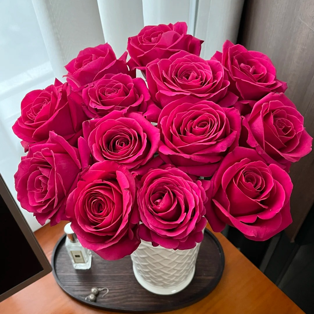 【10支弗洛伊德玫瑰两单顺丰包邮】家居生活鲜花次日达昆明基地鲜花批发