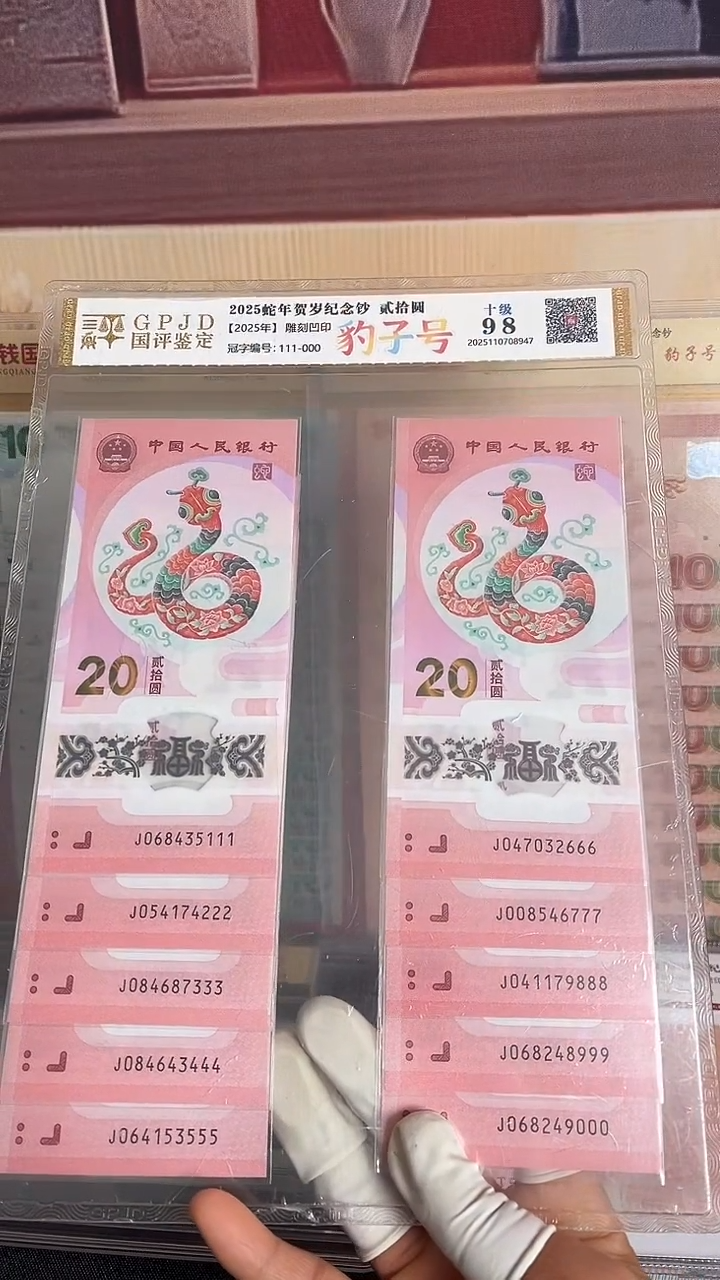 塑料蛇年生肖纪念钞十连号尾豹