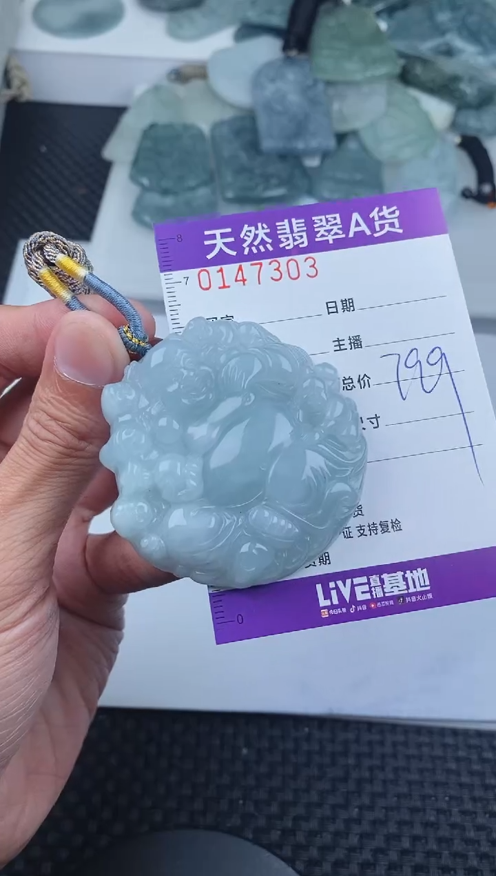 翡翠未镶嵌颈饰       303