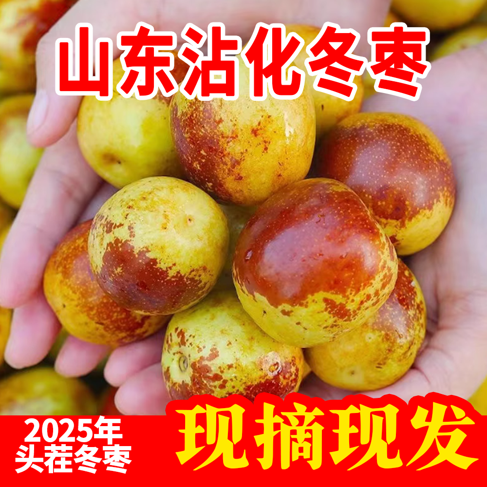 山东沾化现摘冰糖冬枣脆甜多汁当季新鲜水果2