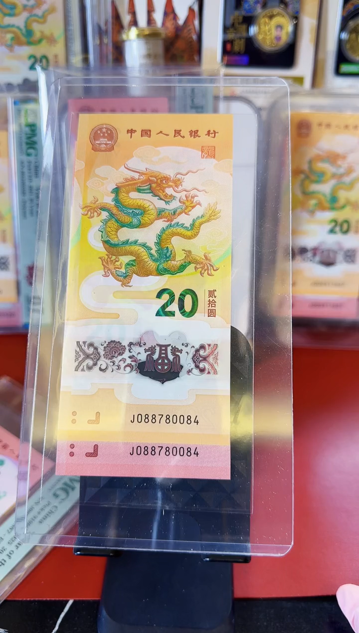 【闪购商品】塑料2025龙蛇钞全同号088780084裸