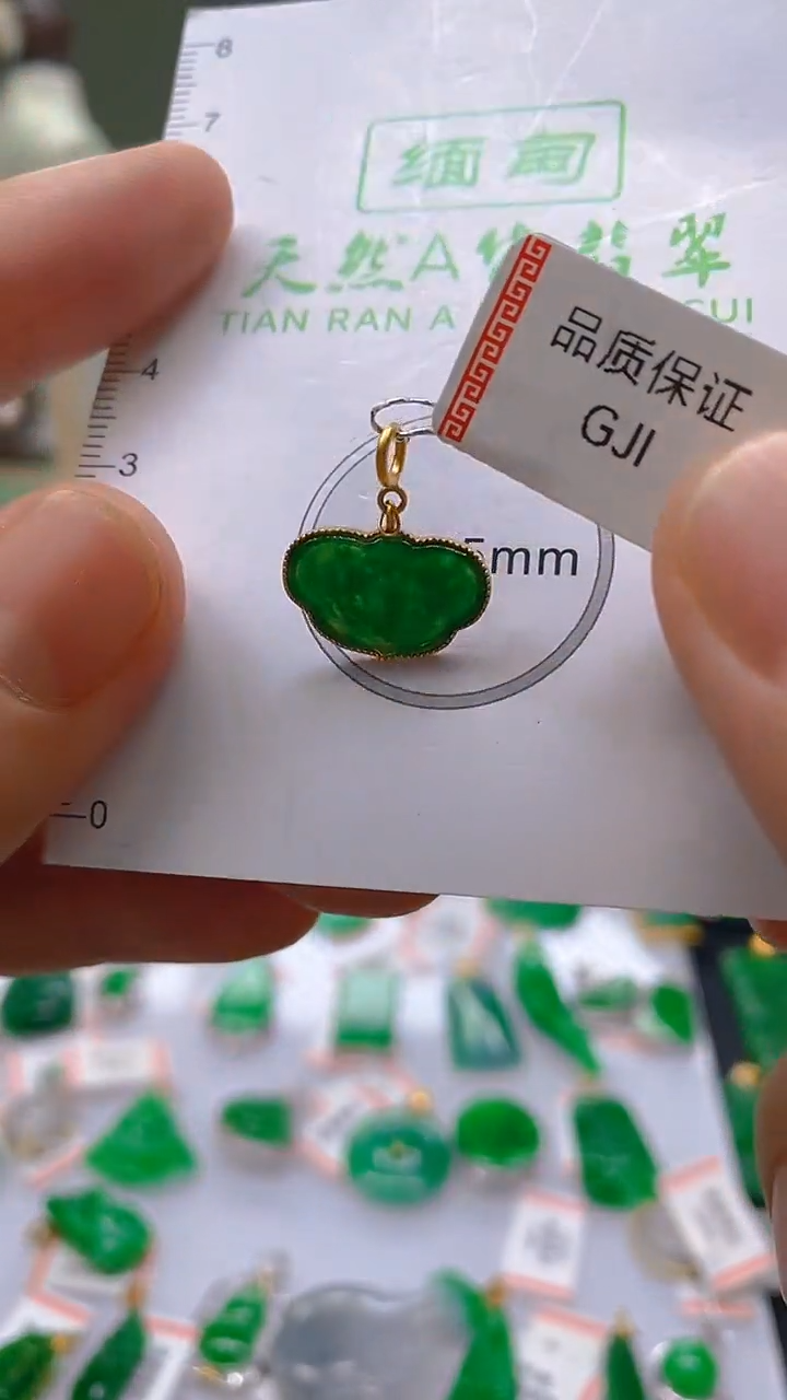 【闪购商品】翡翠18K金镶嵌颈饰新号开播，全场乱卖