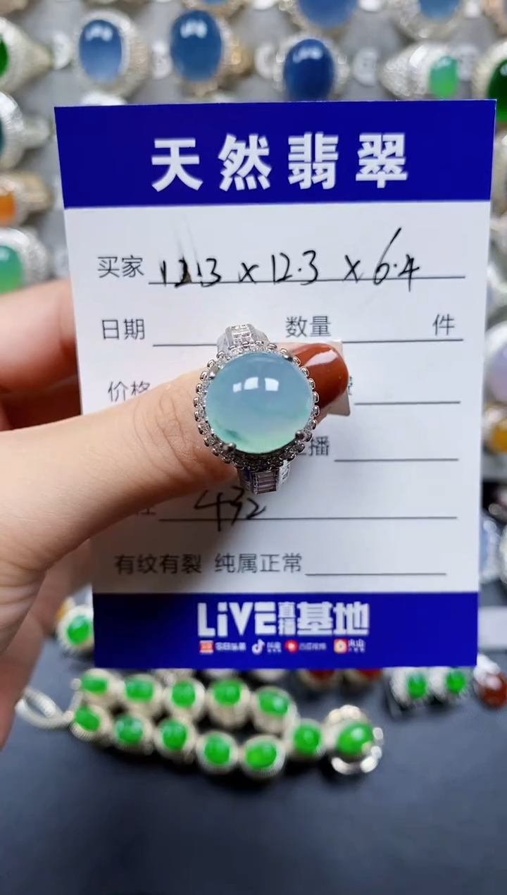 翡翠未镶嵌颈饰432