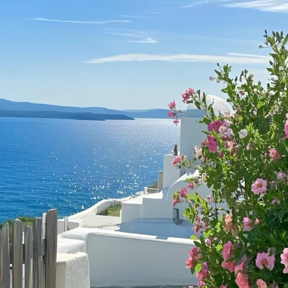 2025抖音特惠  海岸鲜花建筑栅栏蓝天白云碧海蓝天 名片