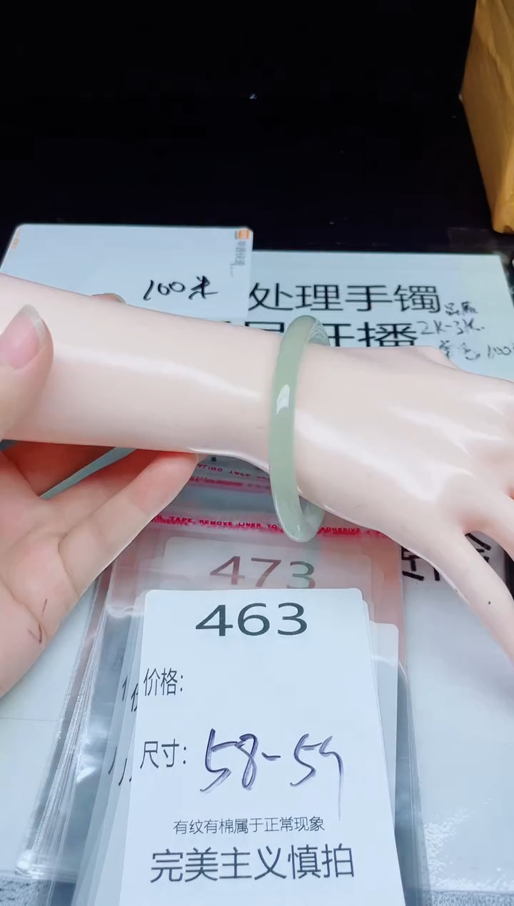 未镶嵌手镯翡翠463