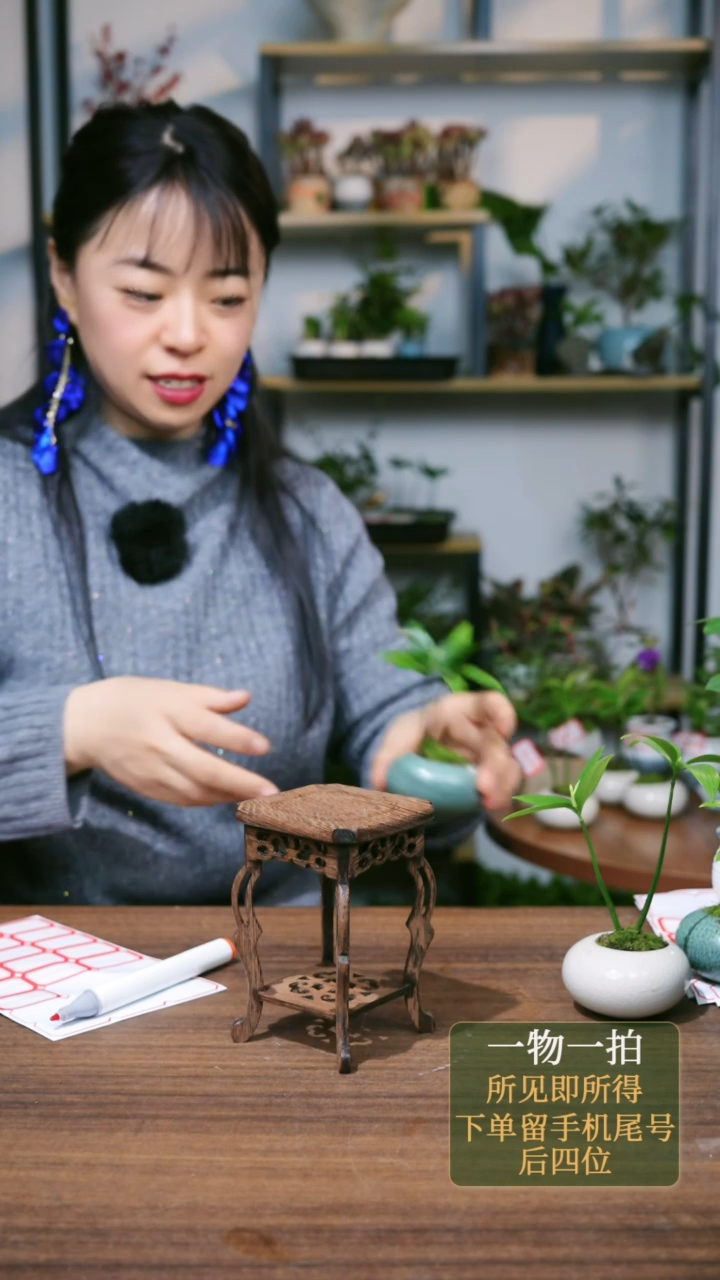 【闪购商品】7--2188虎舌红猫