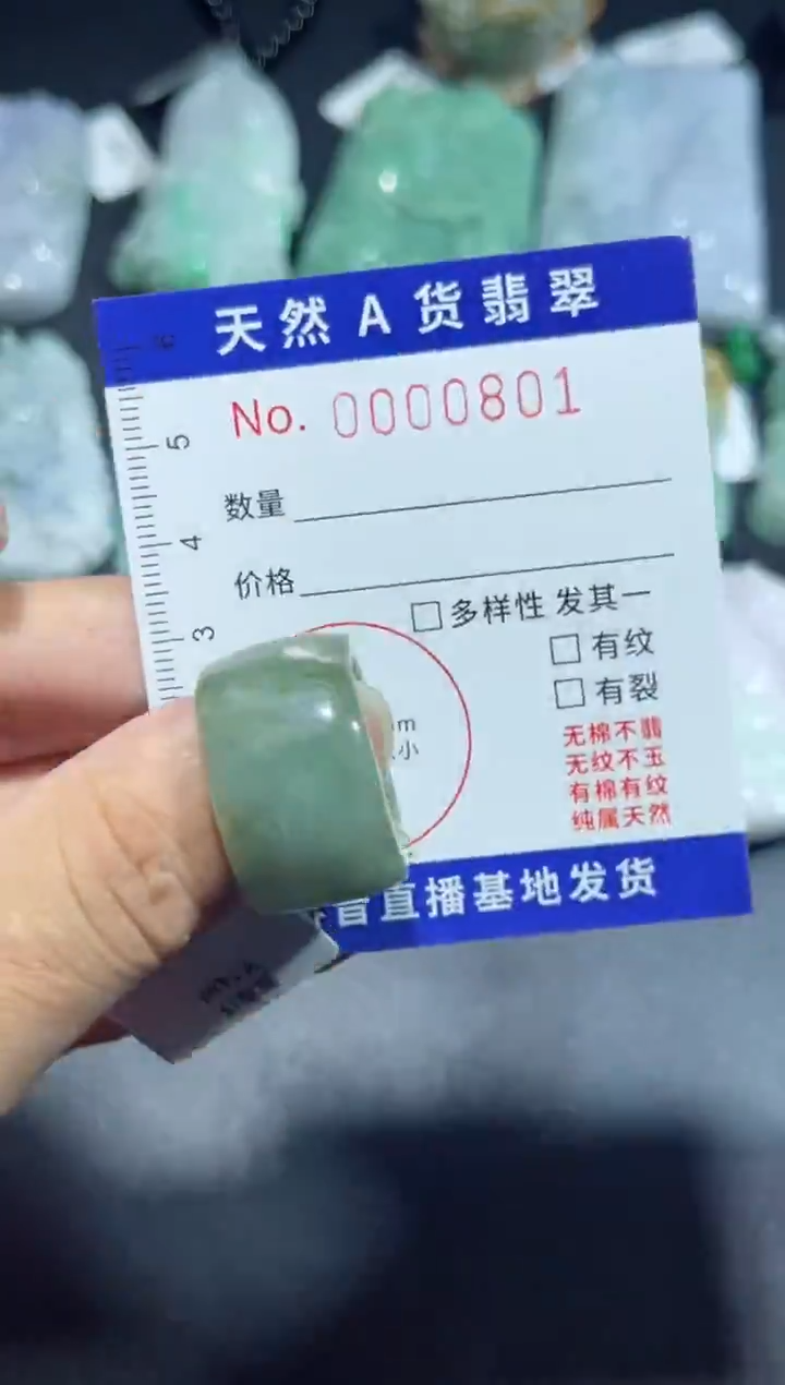 【闪购商品】翡翠颈饰未镶嵌00000801
