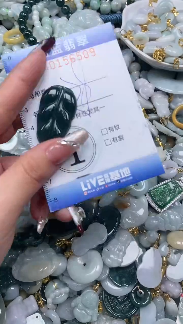 【闪购商品】翡翠颈饰未镶嵌闪购0156501