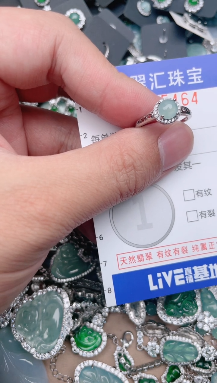【闪购商品】翡翠颈饰未镶嵌5464....